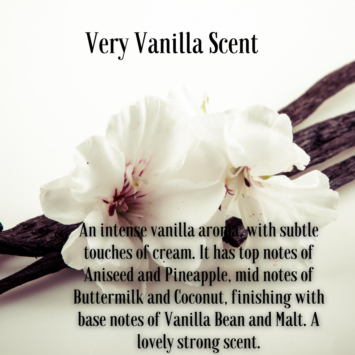 Very Vanilla Fragrance Soy Wax Travel Tin Candle Available in Four Sizes