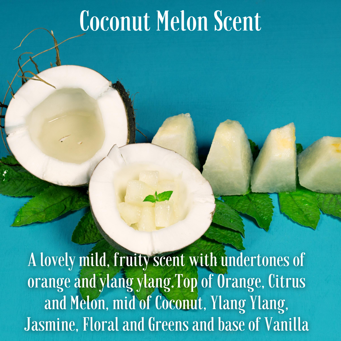 Coconut Melon Fragrance Soy Wax Travel Tin Candle Available in Four Sizes