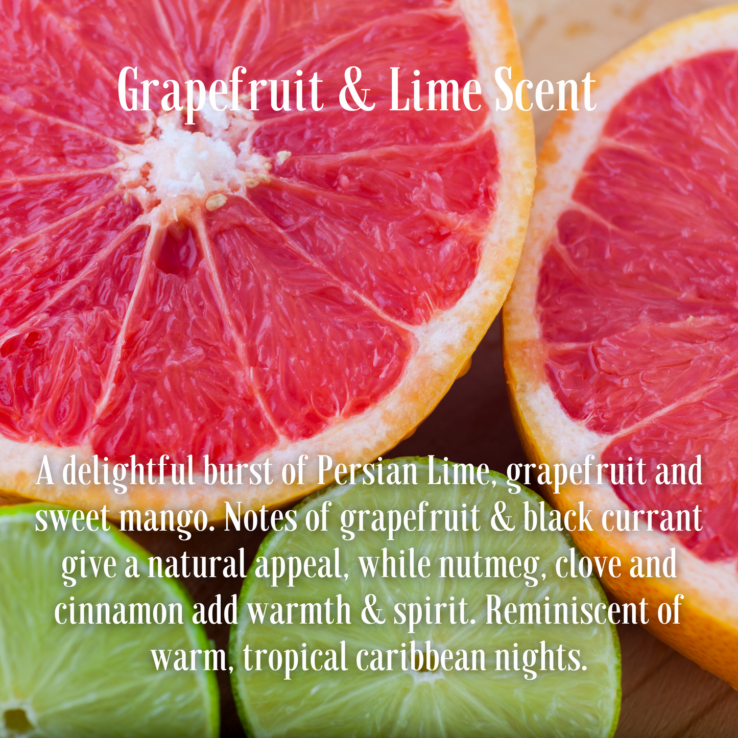 Grapefruit and Lime Fragrance Soy Wax Travel Tin Candle Available in Four Sizes